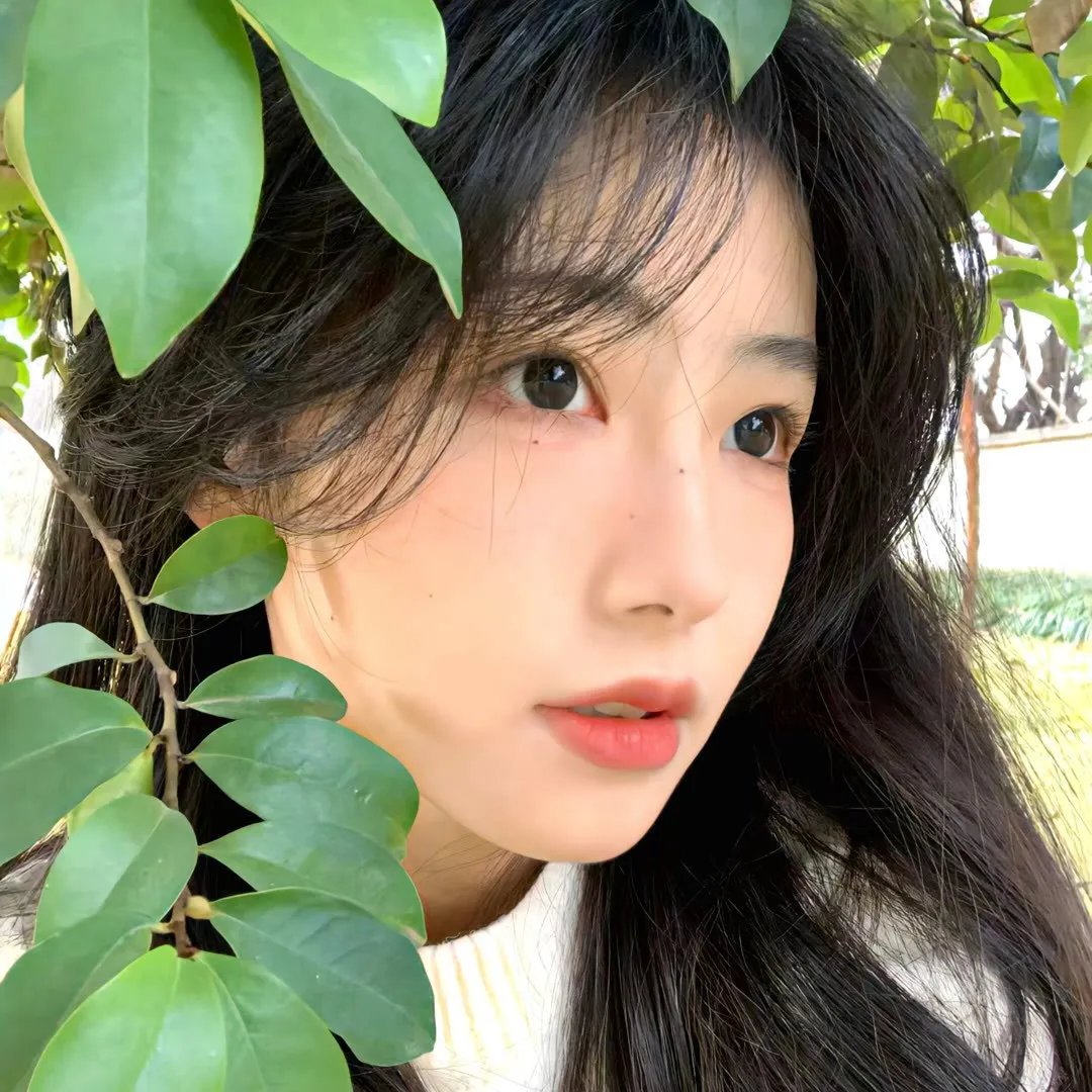 红樱桃海报